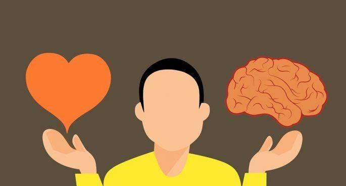 Esquerda vs Direita ou Emoção vs Razão?