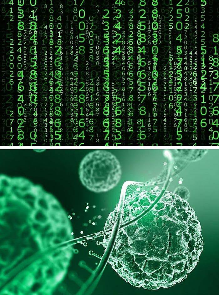 Por que cuspir a consciência?